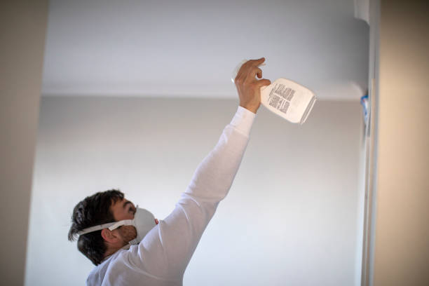 Best Attic Mold Removal  in Lake Morton Berrydale, WA