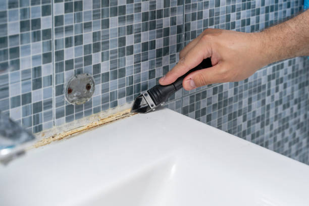 Best Certified Mold Removal  in Lake Morton Berrydale, WA